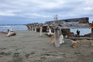 Old wharf structure at South Mole